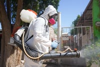 Acciones contra el dengue en Gómez Palacio.