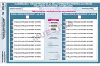 Imagen Panistas crítican el diseño de boletas de elección judicial