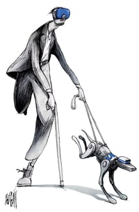 Imagen Cartón Boligán