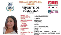 Imagen Adolescente desaparecida en Saltillo: buscan a Vianney Berenice García García