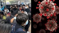 Imagen Salud vigila brote respiratorio en China, ¿Por qué fue descrito como una gripe?