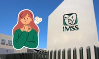 Imagen Requisitos para registrar a tu pareja en el IMSS si no están casados