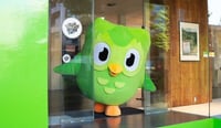 Imagen ¡Fue atropellado por una Cybertruck! Duolingo revela lo que pasó con su mascota