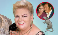 Imagen Paquita la del Barrio: ¿Quién era el hombre a quien dedicó 'Rata de dos patas'?