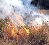 Imagen Alertan sobre los peligros de la quema de basura en baldíos