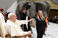 Imagen Salud del papa Francisco es estable respecto al miércoles y se somete a otras pruebas médicas