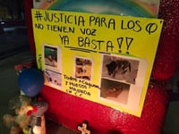 Imagen Vecinos de Fuentes del Sur piden justicia para perrita Caguamita