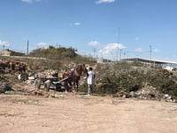 Imagen Cabildo aprobó el Reglamento de Desarrollo Sustentable y Protección al Ambiente