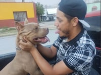 Imagen Lagunero por fin encuentra a su perrito luego de que su búsqueda se hiciera viral