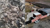 Imagen Crematorio clandestino en Jalisco: Testigo asegura que más de mil 500 personas fueron asesinadas
