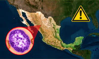 La enfermedad altamente contagiosa que va en aumento en México 