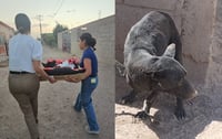 Perrita rescatada por laguneras.