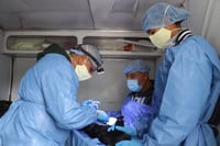 Imagen ¡Atención! Lerdo anuncia jornada de esterilización para mascotas