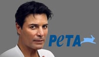 Peta asks Chayanne to change her song 'bullfighter' for 'Firefighter' 