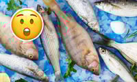 El pescado que contiene más proteína que algunas carnes