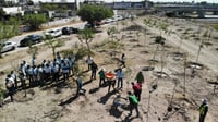 Imagen Con la plantación de 100 árboles más, Municipio de Gómez Palacio celebra segundo aniversario del “Bosque Río Nazas”