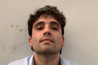 Imagen Ovidio Guzmán se declarará culpable en Estados Unidos