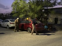 Imagen Se registra ataque de abejas en la colonia San Francisco de Monclova