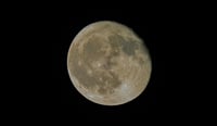 ¿Qué es una microluna? Descubre este fenómeno astronómico visible durante la espectacular luna de flores