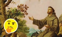 ¿Por qué se les dice 'Paco' a los Franciscos?