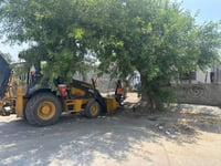 Imagen En Frontera combaten focos de infección por acumulación de basura