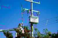 CFE (ARCHIVO)