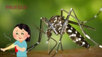 ¿Cuál es el mejor repelente contra mosquitos según Profeco?