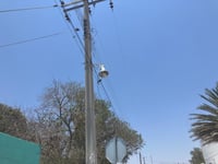 Imagen Reciben en promedio 5 reportes por fallas en el alumbrado público en Madero