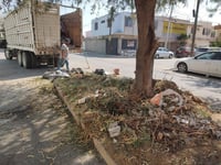 Estos trabajos buscan mejorar la imagen urbana. (EL SIGLO DE TORREÓN)