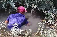 Imagen Se rompe tubería de agua potable y afecta a tres ejidos de San Pedro