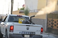 Imagen Realizan acciones preventivas contra el dengue en más de 50 colonias de Gómez Palacio