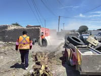 Imagen Campaña de descacharrización recorre el Fraccionamiento Popular Ramos Arizpe de San Pedro