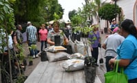 Imagen Adopte un árbol, estarán donando en la plaza principal de Lerdo