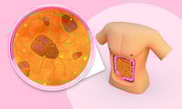 + Salud Fortalece tu microbiota intestinal