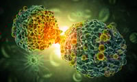 El 50% de las muertes por cáncer se atribuyen a factores de riesgo que se pueden evitar