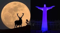 ¿Cuándo y cómo ver la Luna de Ciervo desde La Laguna?