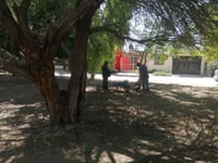 Imagen Brinda Ayuntamiento limpieza integral a espacios públicos en la colonia Bugambilias