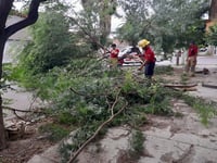 Imagen En Gómez Palacio Protección Civil no registró afectaciones graves por lluvias