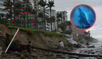 Imagen ¿Qué es 'El Niño Godzilla', el fenómeno por el cual han advertido los científicos de la UNAM?