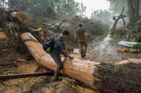 Imagen Gobernador de Texas reporta 41 desaparecidos y unos 70 muertos tras fuertes lluvias