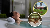 ¿Dónde puedes rentar una habitación con posa termal privada? Conoce el hotel de Hidalgo