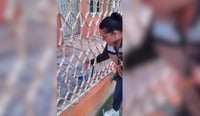 Imagen Preocupa a Salud el dengue por las lluvias en la Región Centro