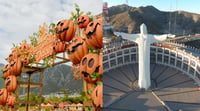 Torreón ¿Cuándo y cómo será el festival de calabazas en Torreón? Esto sabemos