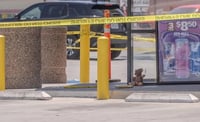 Encuentran oso de 'piel humana' en gasolinera de EUA ¿Qué era?
