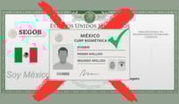 Imagen ¿La CURP tendrá foto y huellas dactilares? Estas son las modificaciones que tendrá