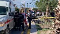 Imagen Motociclista pierde la vida al impactarse contra luminaria y palma, en Torreón