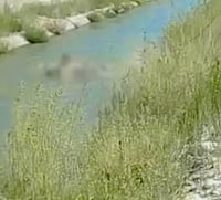 Imagen Localizan cuerpo sin vida flotando en canal de riego de Mapimí
