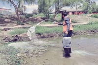 Imagen Refuerzan acciones contra el dengue con aplicación de abate líquido en San Pedro