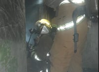Imagen Bomberos rescatan a perrito durante incendio en Lerdo
