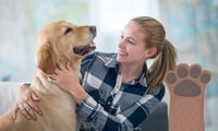 ¿Amas a los perros? Esto dice la psicología de los amantes de los lomitos